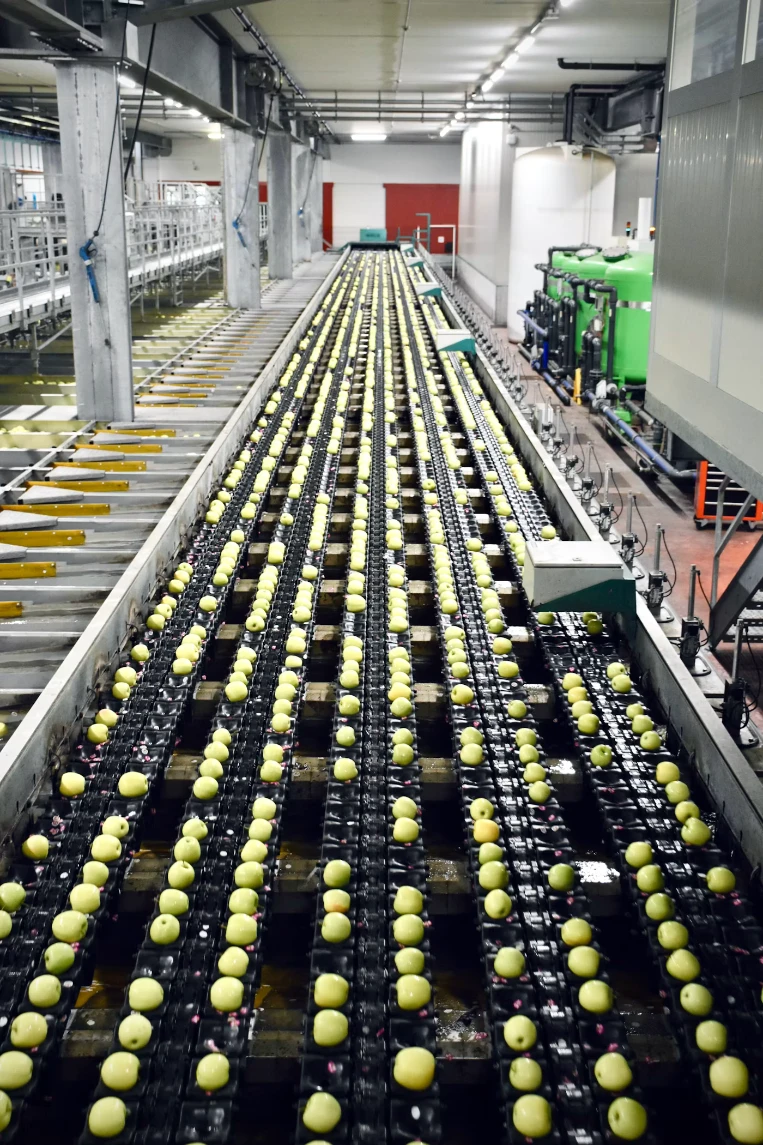 Food processing line