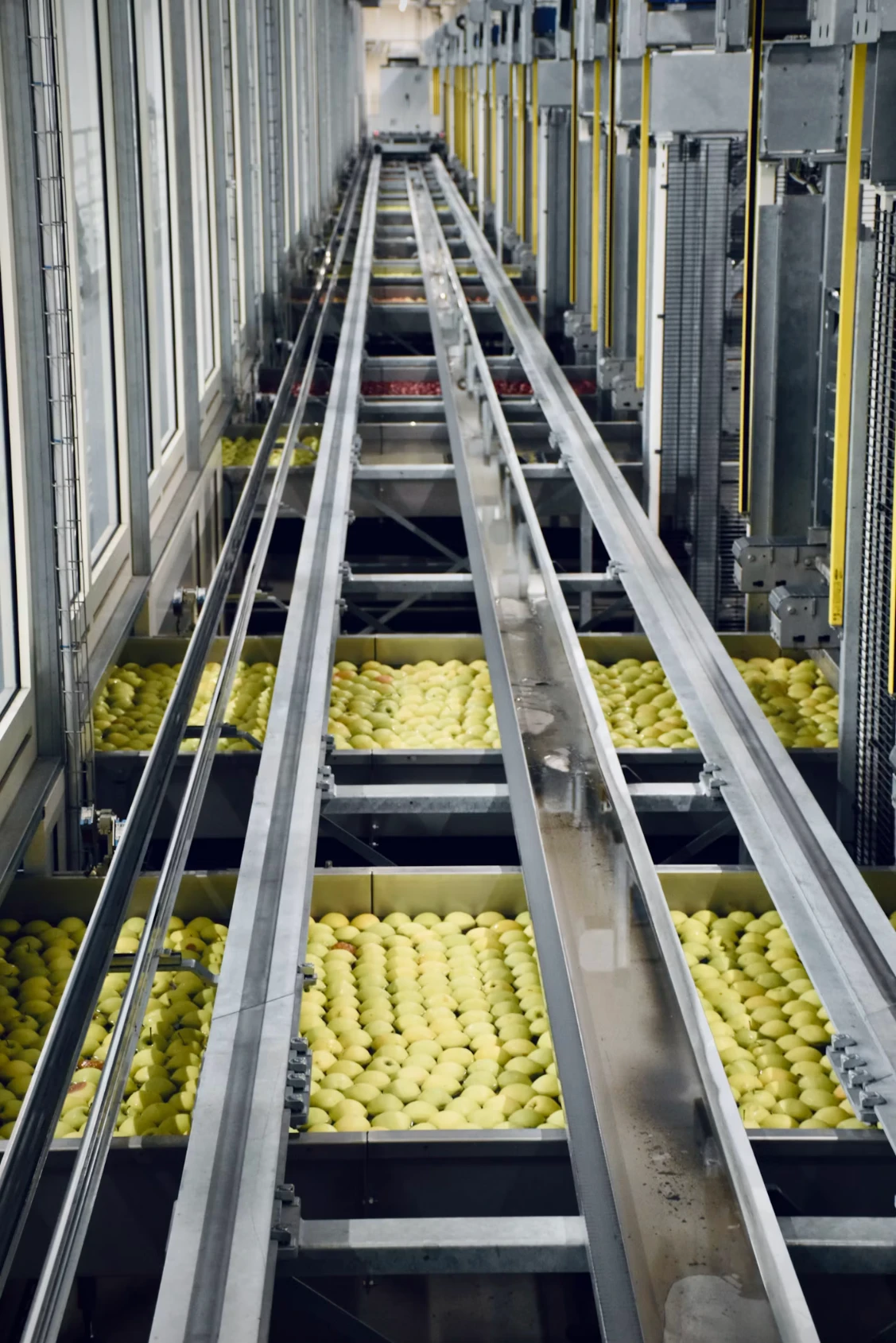 Processing plant interior